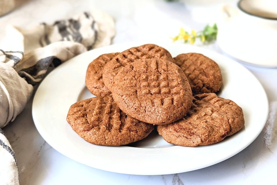 4 ingredient cocoa peanut butter cookies with chocolate cacao powder cookies antioxidant cookies