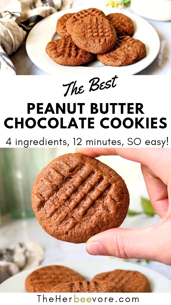 peanut butter chocolate cookies dairy free and gluten free cocoa powder peanut butter cookies recipe vegetarian high fiber