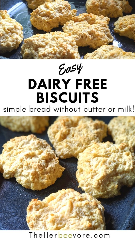 dairy free biscuits recipe no milk no butter baking powder biscuits without milk
