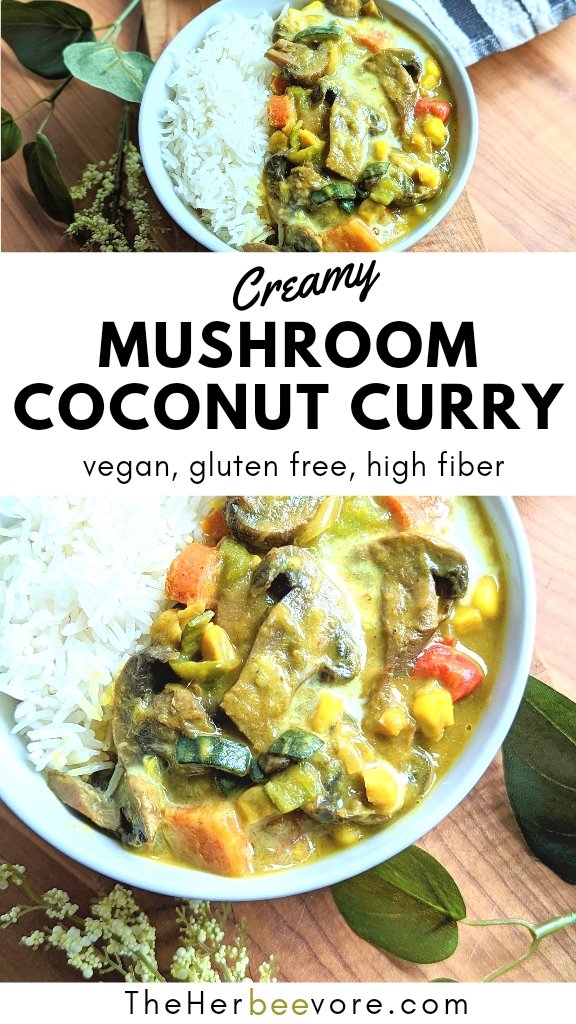 mushroom coconut curry recipe with any kind of mushroom cremini shirataki portabella or white or brown baby mushrooms or enoki mushroom recipe