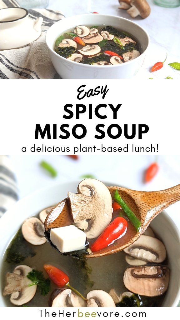 spicy miso soup recipe with nori thai or Malaysian chilli peppers and light miso paste