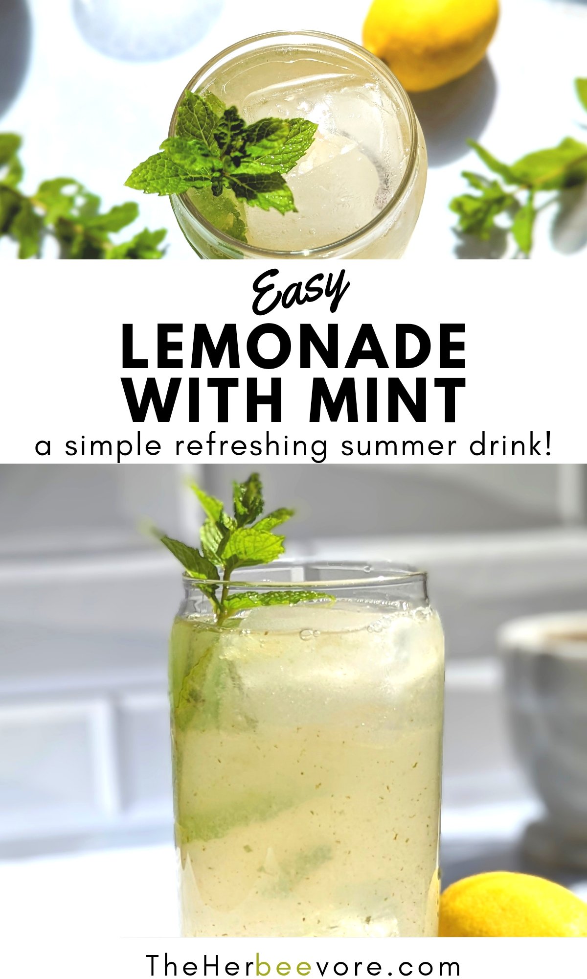 lemonade with mint recipe a light and refreshing summer drink for the family mint lemonade recipe with sugar