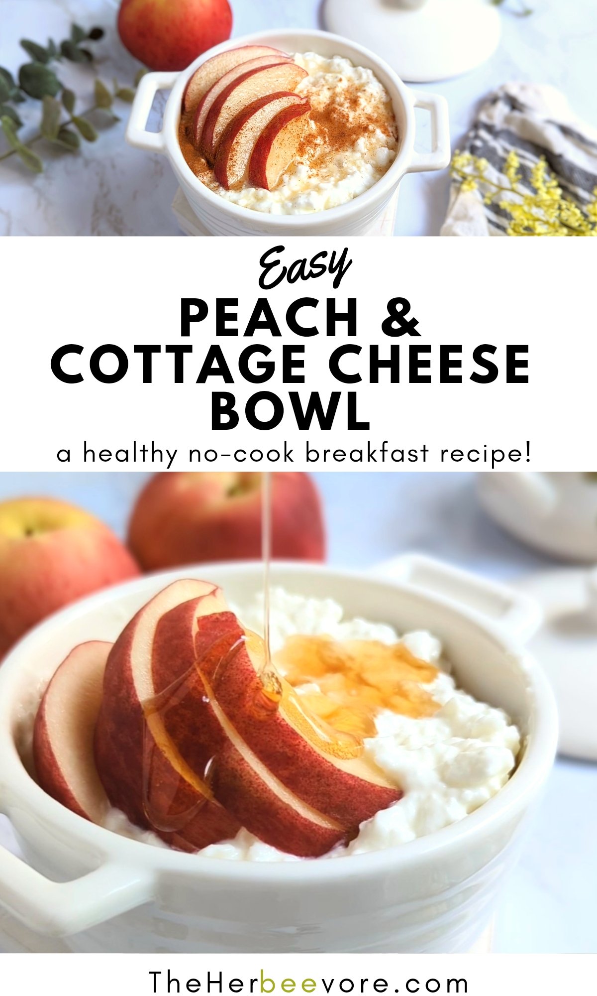 peach and cottage cheese bowl recipe healthy homemade breakfasts with cottage cheese and fruit with honey and cinnamon