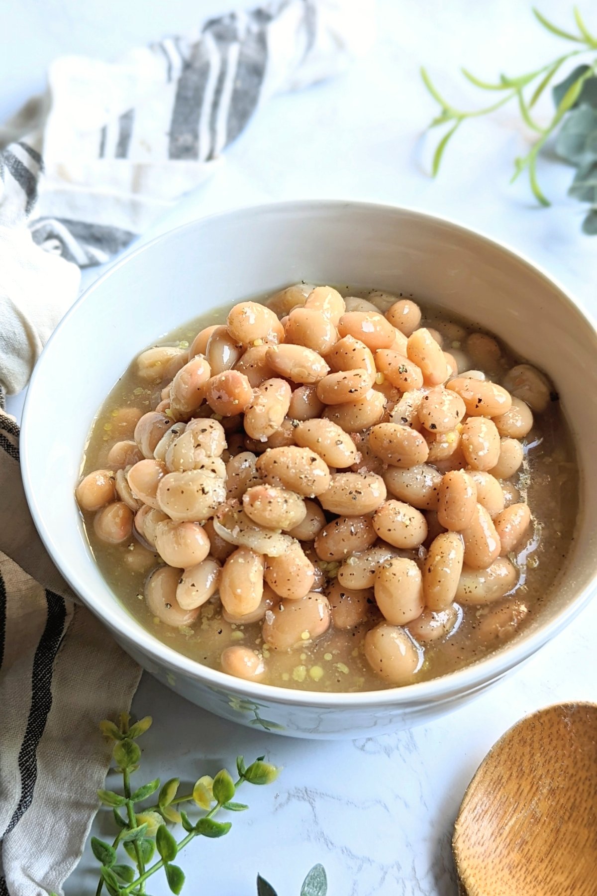 navy beans instant pot white beans recipe easy bean recipes pressure cooker