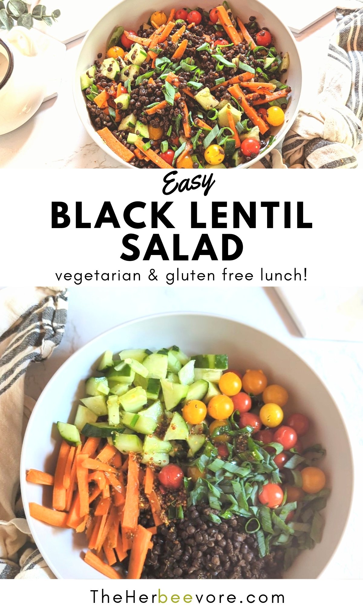black lentil salad recipe easy quick black lentil recipes with beluga lentils salads