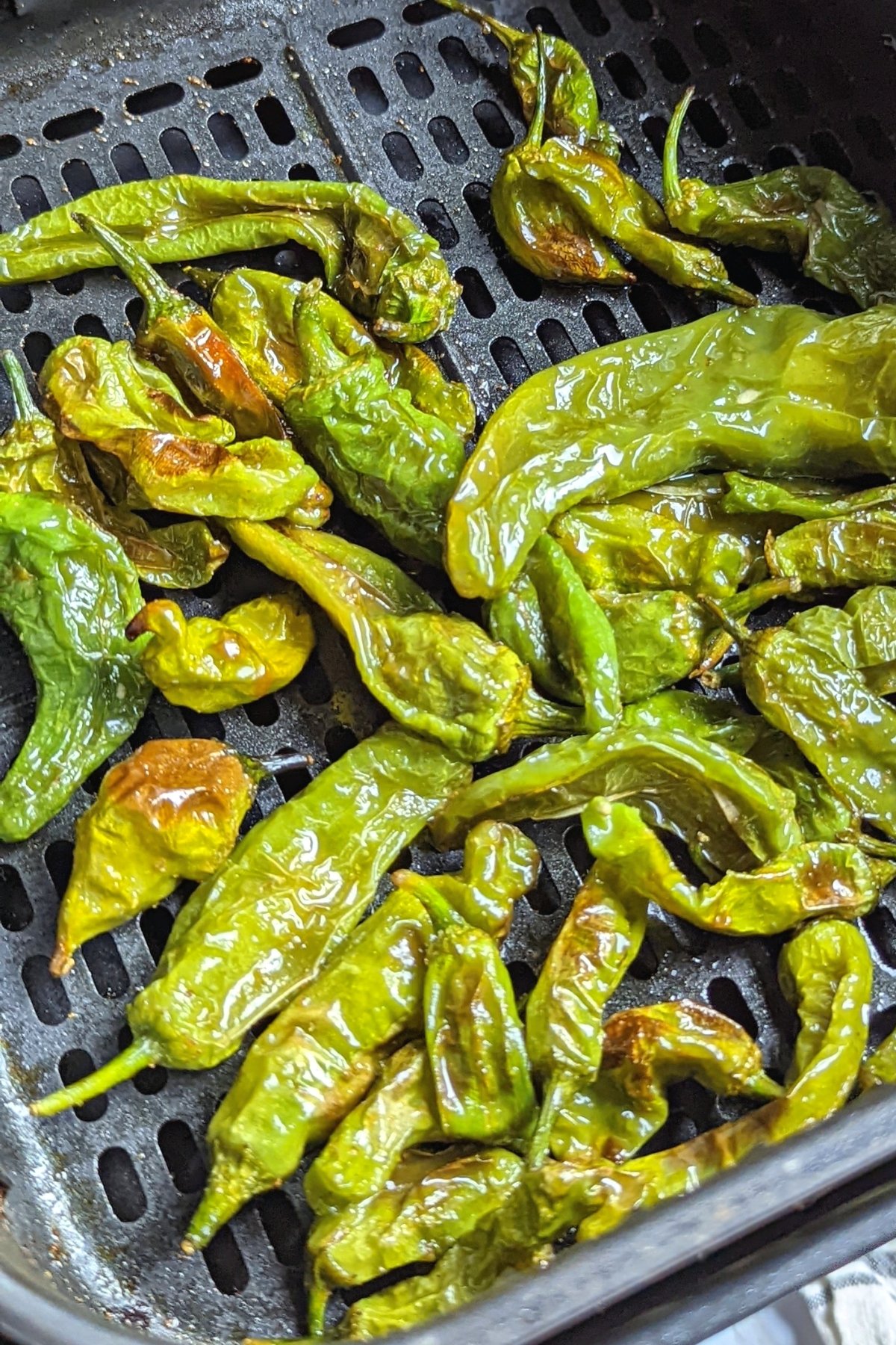 blistered shishito peppers in the air fryer pepper recipe with olive oil toasted sesame oil lemon juice and garlic salt