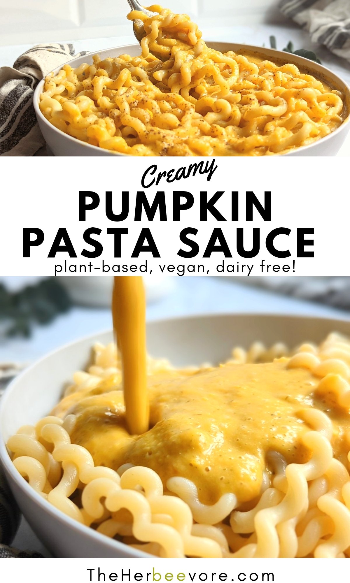 pumpkin pasta sauce recipe vegan dairy free healthy pumpkin pasta sauce no cream no milk no dairy fall dinner recipes