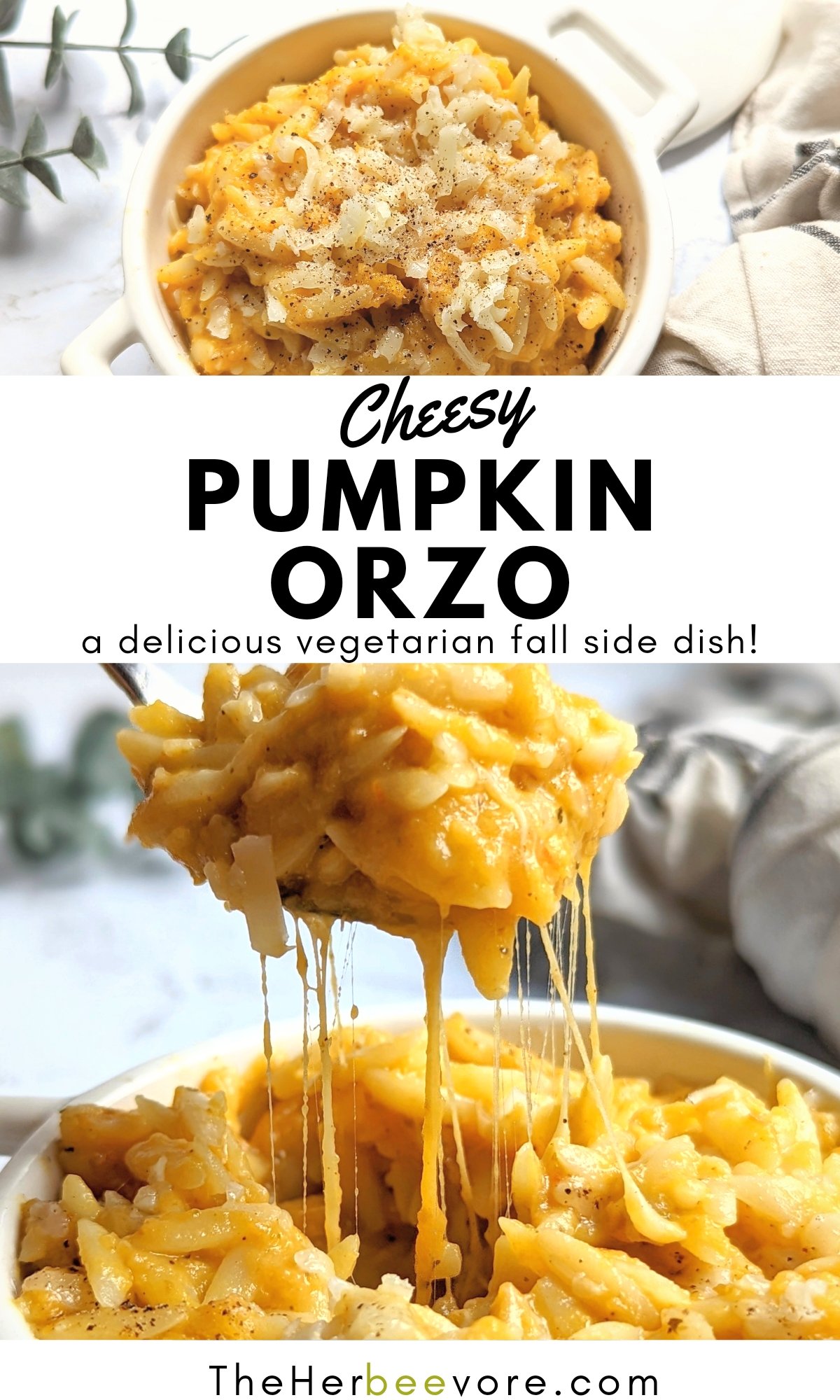 pumpkin orzo recipe vegetarian side dishes for fall autumn recipes with pumpkin savory pumpkin recipes with canned pumpkin