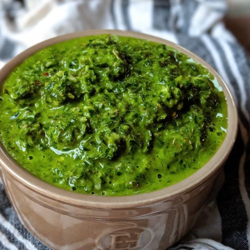 cilantro chimichurri sauce in the blender recipe healthy sauces with cilantro parsley olive oil and red wine vinegar