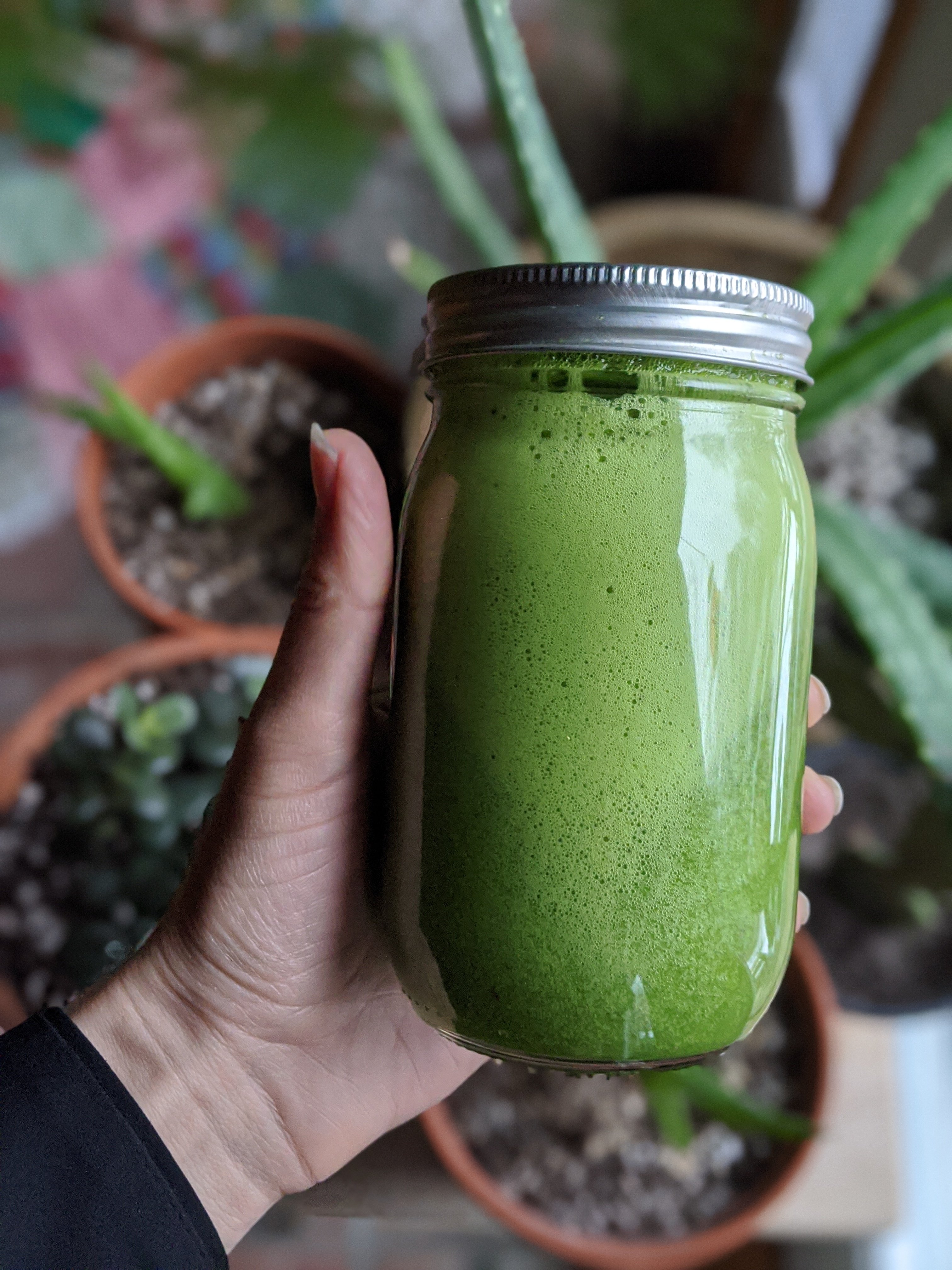 lean green smoothie recipe raw vegan breakfast recipe with kale or spinach smoothie recipe