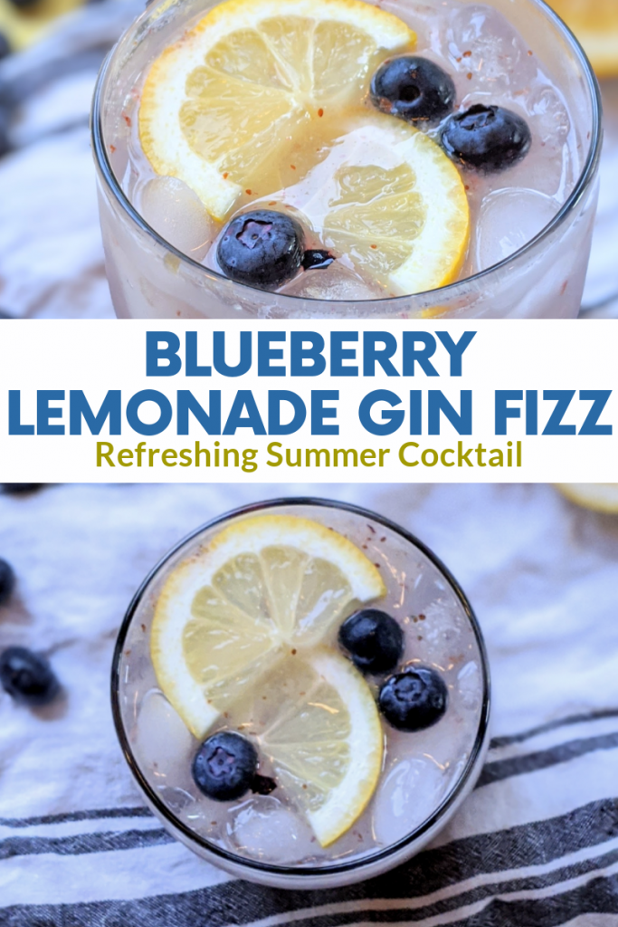 Blueberry Lemonade Gin Fizz Recipe (Perfect Summer Cocktail) The