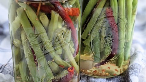 23+ Spicy Green Bean Pickles Recipe