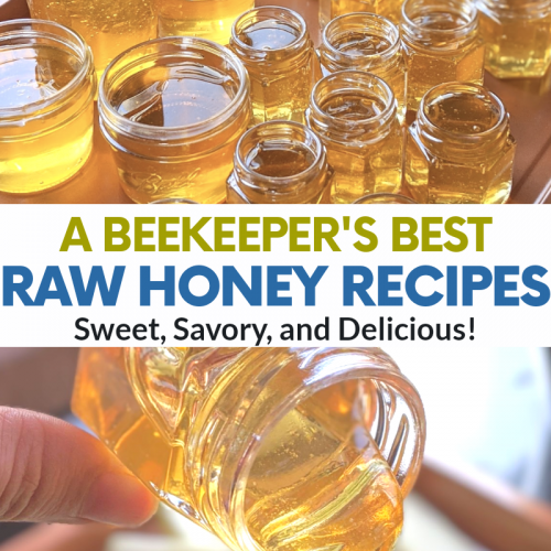 best raw honey recipes from a beekeeper honey hive