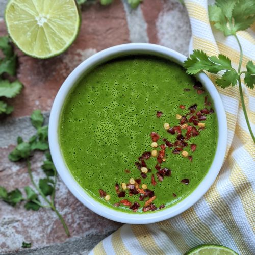 cilantro lime chimichurri sauce