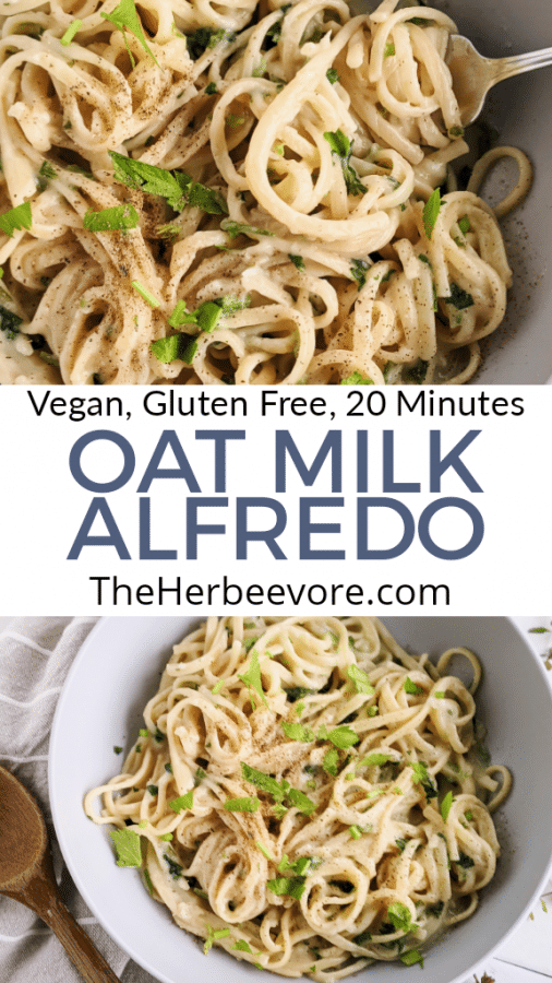 Oat Milk Alfredo Sauce Recipe (Vegan, Dairy Free) The Herbeevore