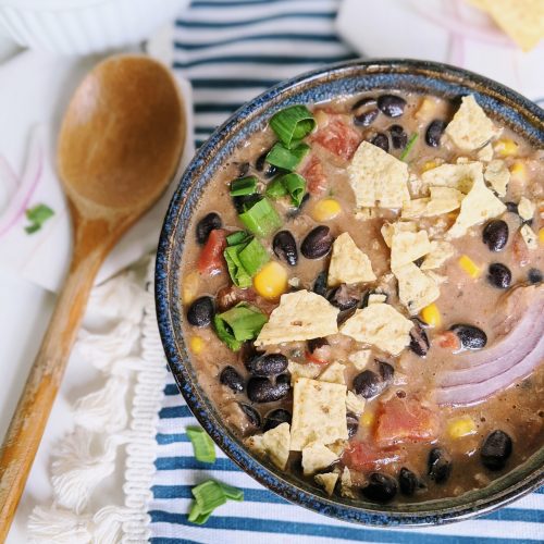 vegan tortilla soup recipe vegan vegetarian meatless gluten free dairy free healthy silken tofu queso dip recipe chips beans vegetables