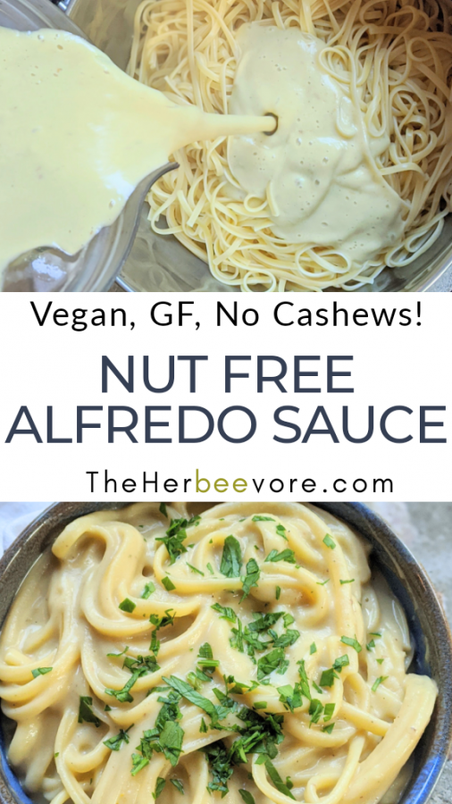 Nut Free Vegan Alfredo Sauce without Cashews Recipe The Herbeevore