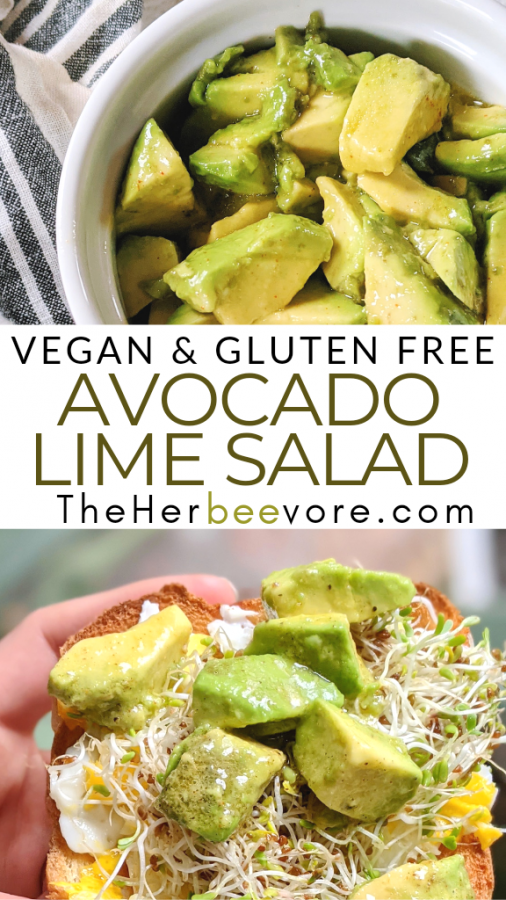 Vegan Avocado Salad Recipe (Raw Vegan, Gluten Free)