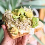 smashed avocado and egg breakfast sandwich recipe vegetarian brunch sandwich recipes healthy meatless brunch ideas recipes for plant based breakfasts