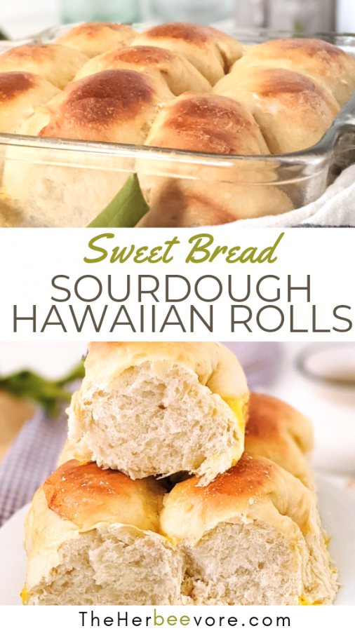 Sourdough Hawaiian Rolls Recipe (Vegetarian, Sourdough Discard) - The ...