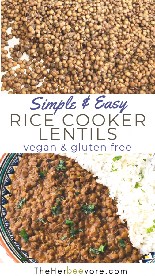 How to Cook Lentils in a Rice Cooker Recipe The Herbeevore
