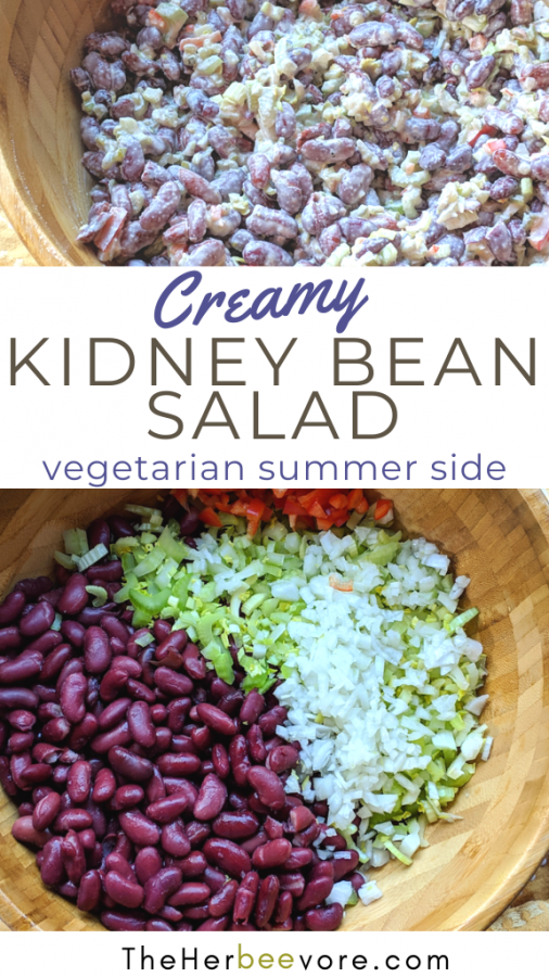 Creamy Kidney Bean Salad Recipe The Herbeevore