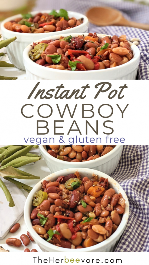 Instant Pot Vegetarian Cowboy Beans Recipe (Vegan, Gluten Free)