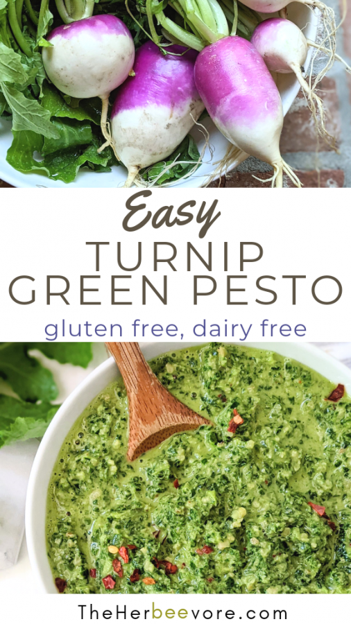 Turnip Greens Pesto Recipe (Vegan, Gluten Free, Paleo, Whole30)