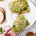 avocado toast with sprout recipe vegan gluten free breakfast ideas with avocado and sprouts together. Eat sprouts for breakfast with this healthy and light avocado toast crunchy and delicious.