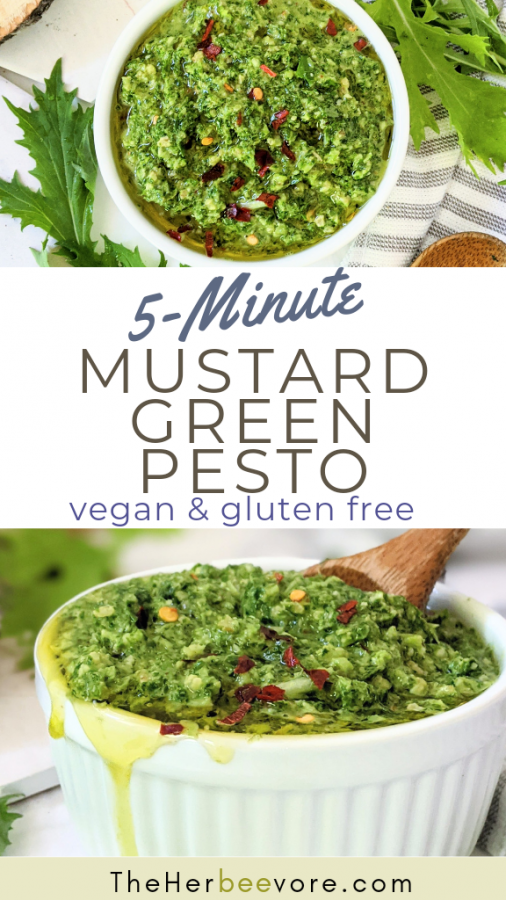 Mustard Green Pesto Recipe (Vegan, Gluten Free, Paleo, Whole30)