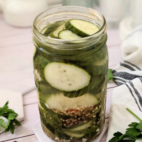 fresh garlic pickles with dill easy refrigerator pickles vegan gluten free plant based pickles sweet dill pickles with garlic recipes for garden cucumbers pickles in a jar