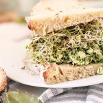 pesto tofu salad sandwich vegan gluten free plant based sandwiches high protein meals with basil walnuts greens and sprouts