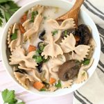 creamy mushroom noodle soup recipe vegan gluten free plant based autumn mushroom soup with noodles chicken vegan mushroom soup with pasta recipe