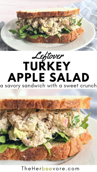Turkey Apple Salad Sandwich with Greek Yogurt Recipe
