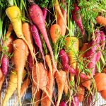 rainbow carrots grow in the garden yellow orange and purple carrots healthy homegrown carrot recipes from the garden vegetarian gluten free