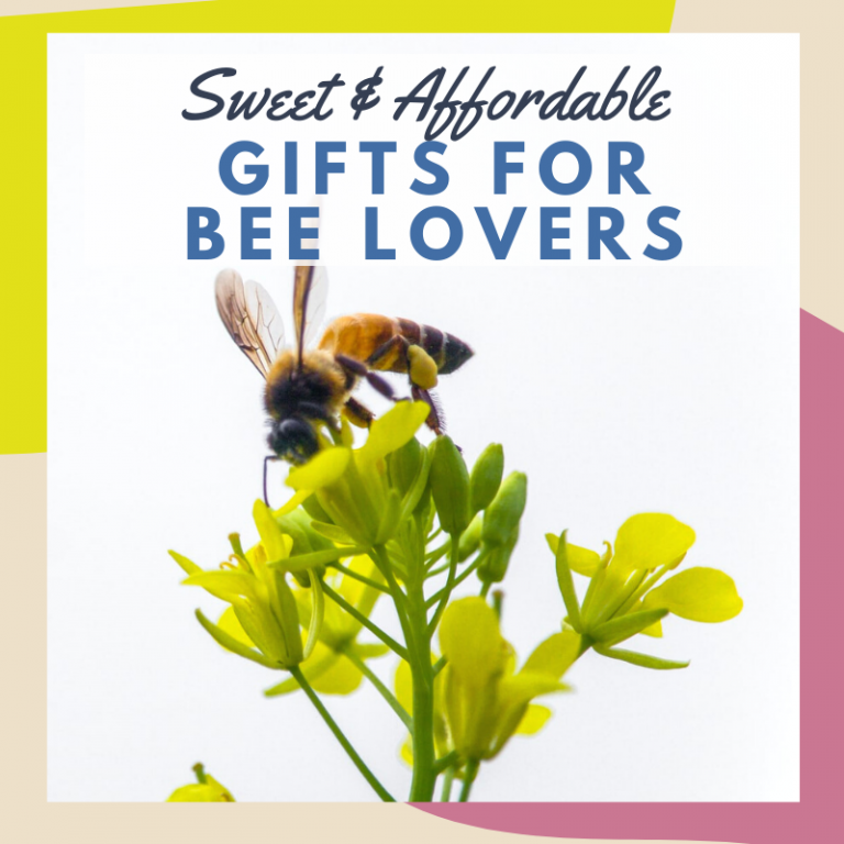 36 Gifts For Bee Lovers 2024 Gift Guide The Herbeevore