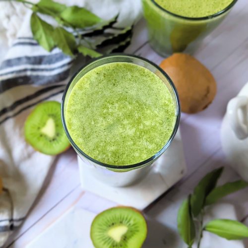kiwi smoothie without yogurt recipe dairy free smoothie with kiwifruit recipe healthy dairy free smoothie recipes for breakfast no cook blender recipes