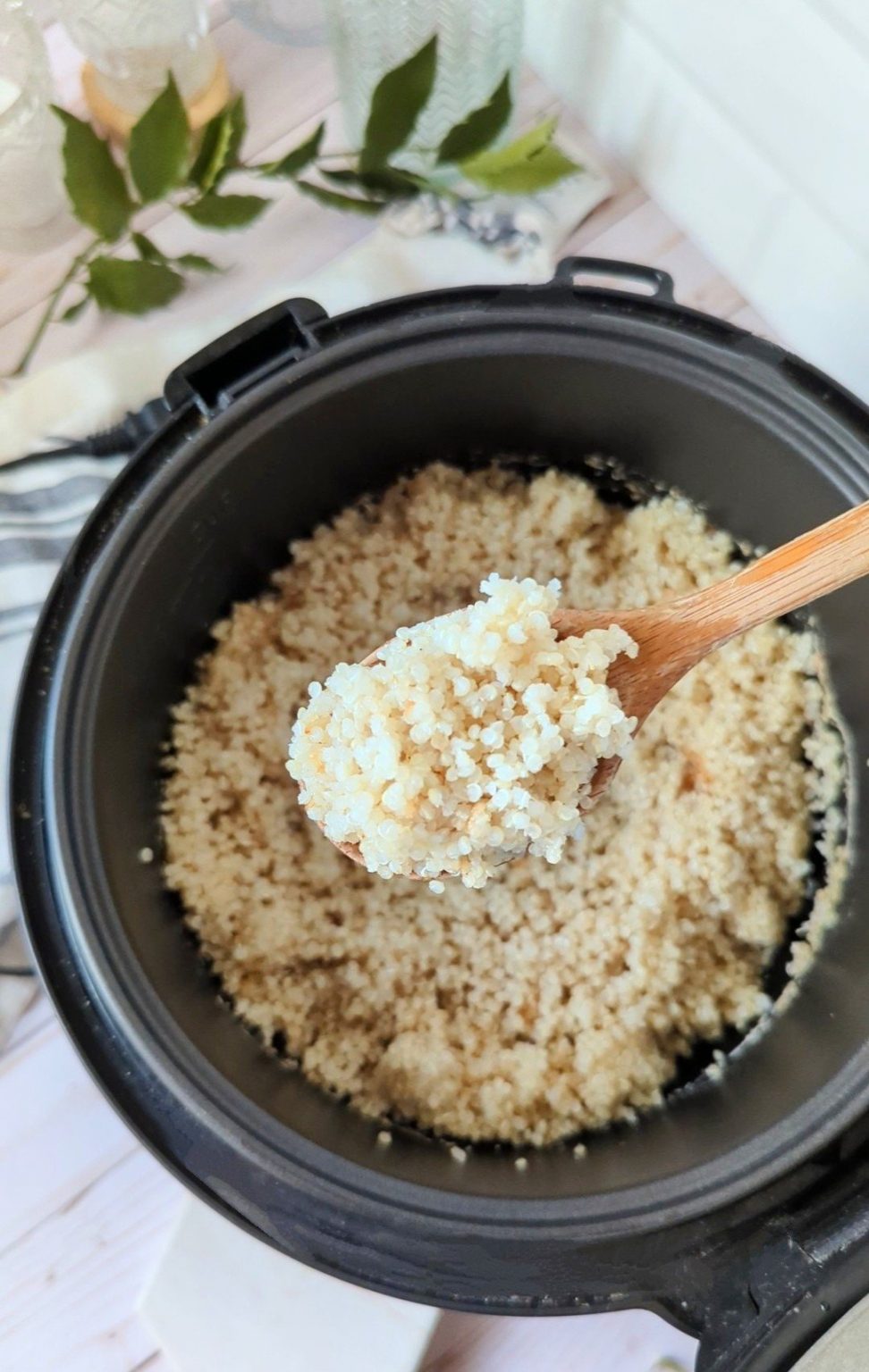 Rice Cooker Quinoa Recipe The Herbeevore