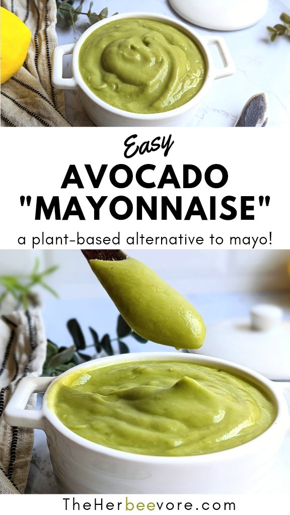 Avocado Mayo Recipe (3 Ingredients, Oil Free)