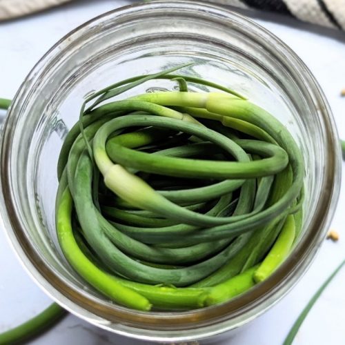 garlic scape pickles recipe what to do with garlic scapes recipes homemade pickles with scapes