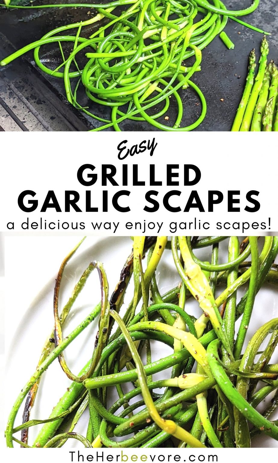 Grilled Garlic Scapes Recipe The Herbeevore