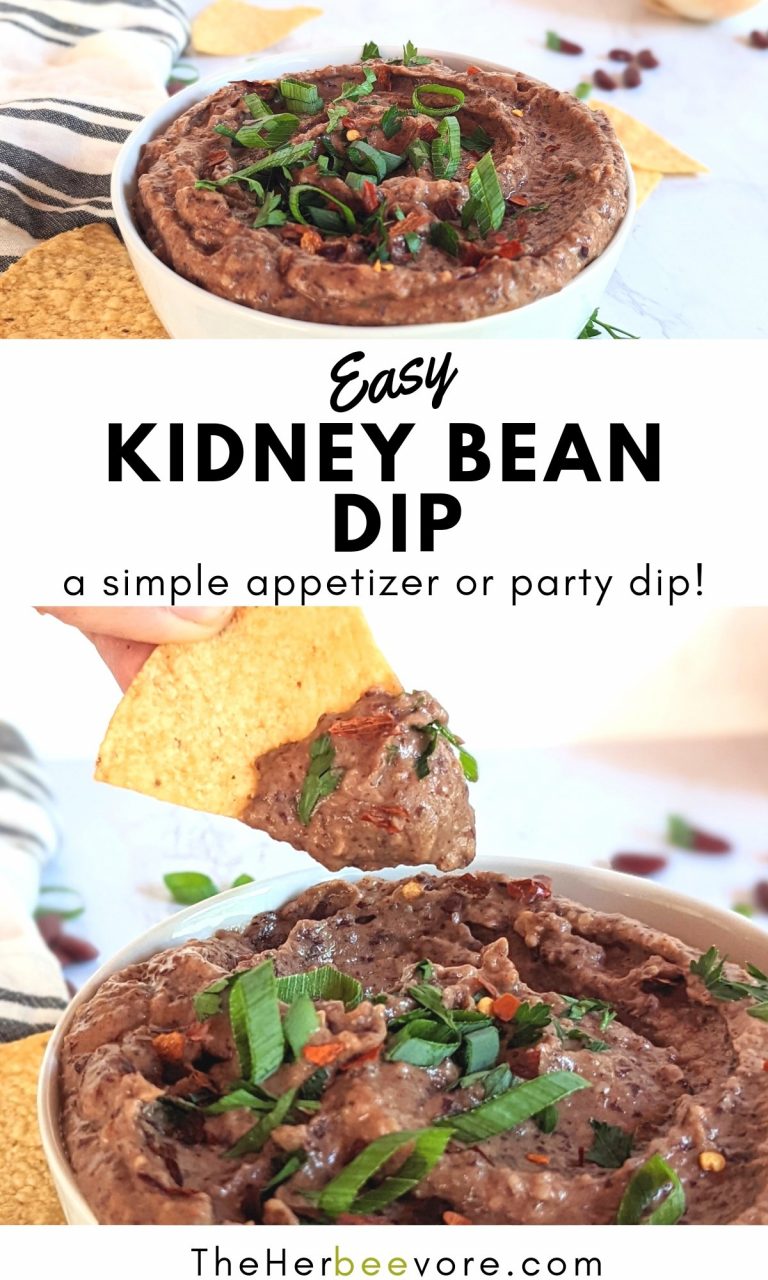 Easy Kidney Bean Dip Recipe The Herbeevore