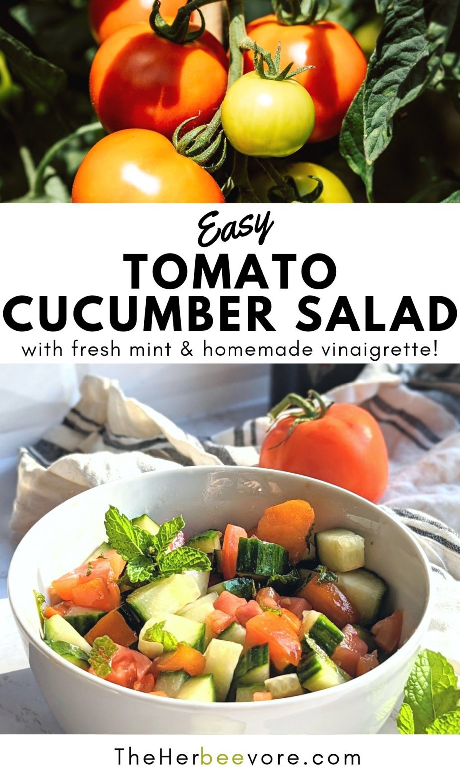 Tomato Cucumber Mint Salad Recipe The Herbeevore