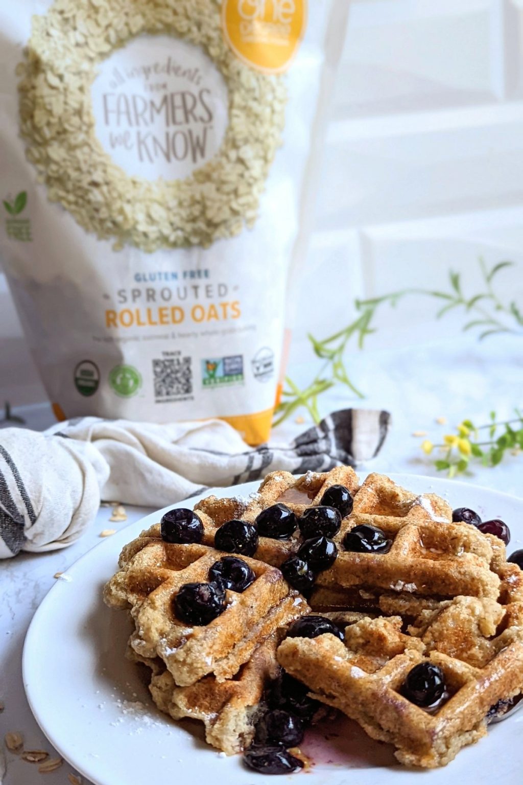 Oat Flour Waffles Recipe (Vegan, Egg & Dairy Free)