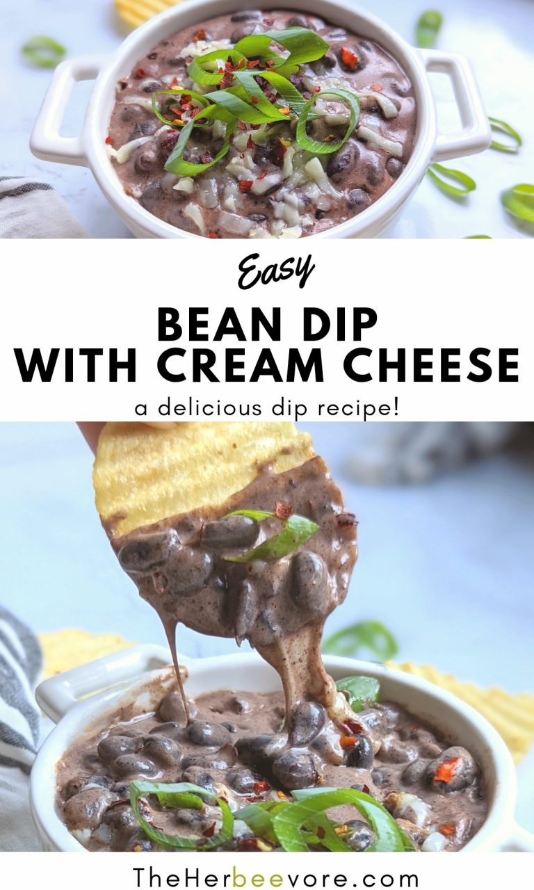 Black Bean Dip with Cream Cheese Recipe The Herbeevore