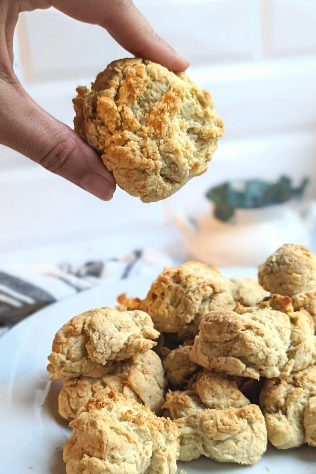 Baking Powder Drop Biscuits (No Butter or Milk) Recipe The Herbeevore