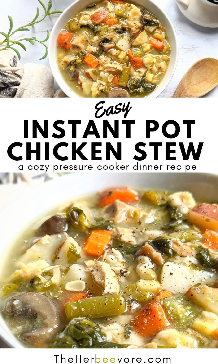 Cozy Instant Pot Chicken Stew Recipe (Dairy & Gluten Free)