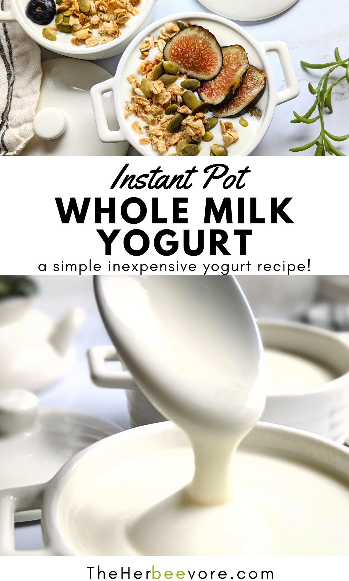 instant pot yogurt with whole milk greek yogurt recipe pressure cooker ideas breakfast