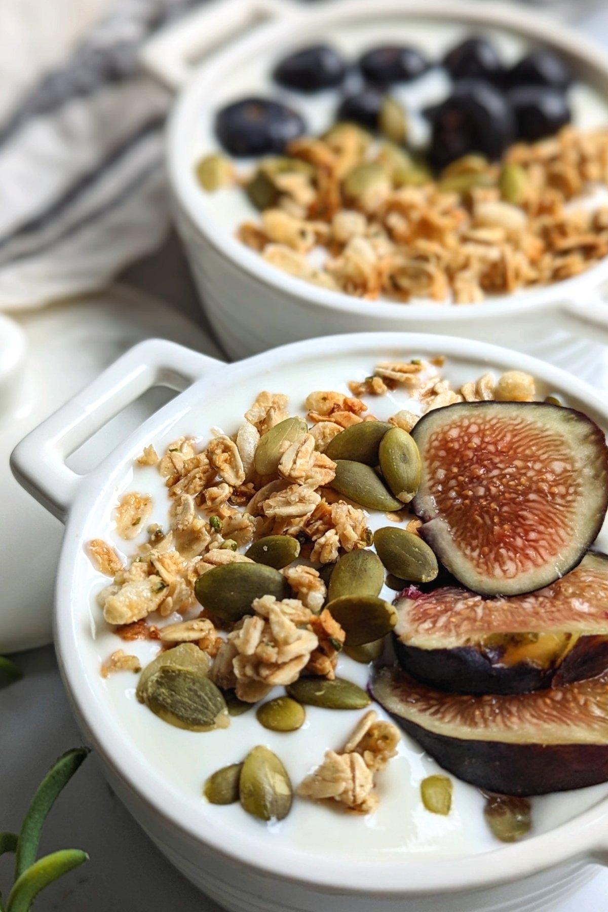 pressure cooker whole milk yogurt with granola figs and pepitas recipe healthy instant pot breakfast ideas no meat
