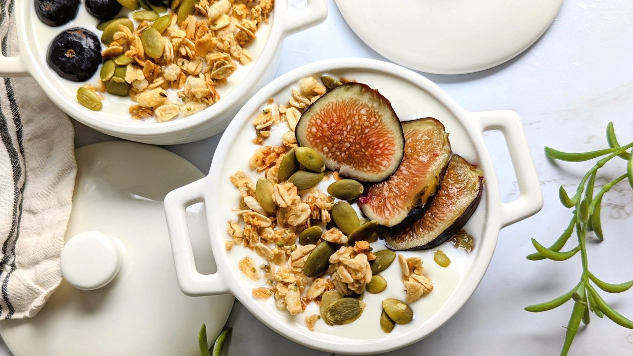 pressure cooker yogurt whole milk greek yogurt recipe instant pot with figs and granola and pumpkin seeds